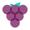 Odoo Wine Shop icon